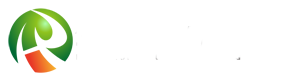 金沙9170手机版